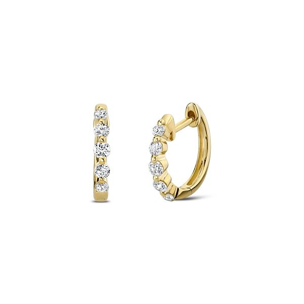 14k Yellow Gold Earrings 1/4 ct. tw.