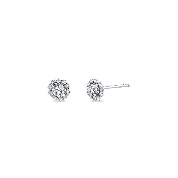 14k White Gold Diamond Earrings 1/2 ct. tw.